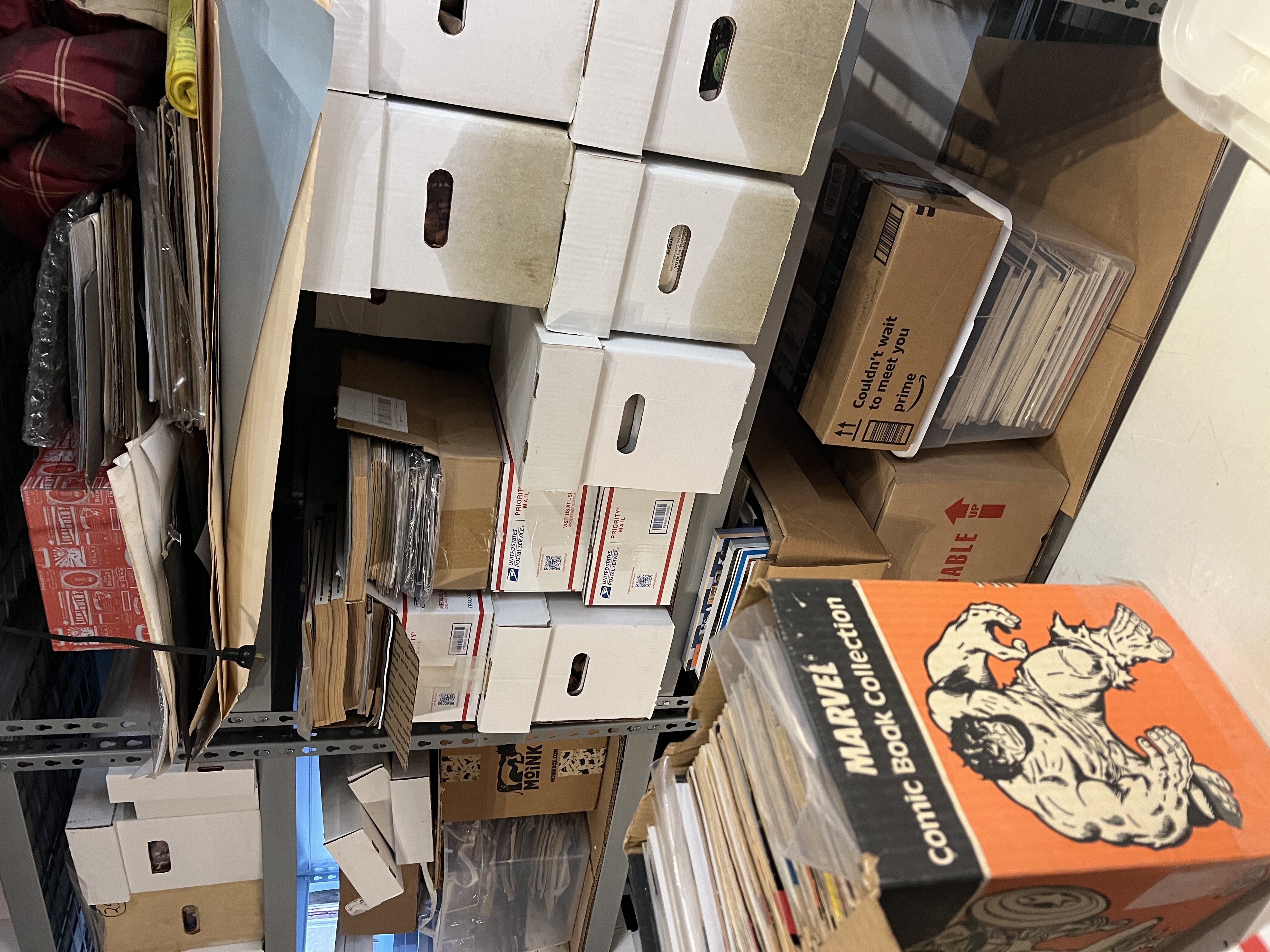 Professional comic book storage facility with organized collections